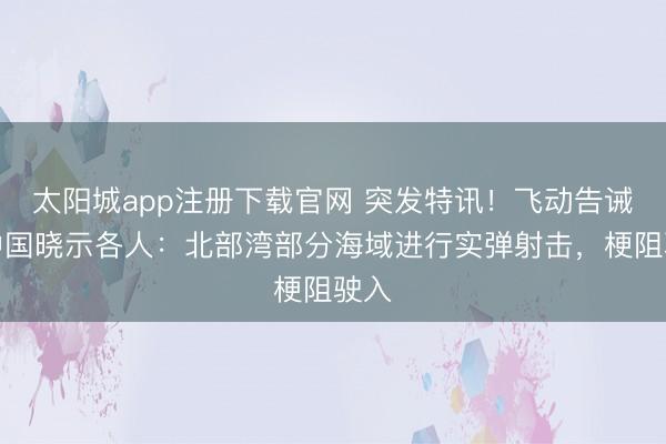 太阳城app注册下载官网 突发特讯！飞动告诫，中国晓示各人：北部湾部分海域进行实弹射击，梗阻驶入